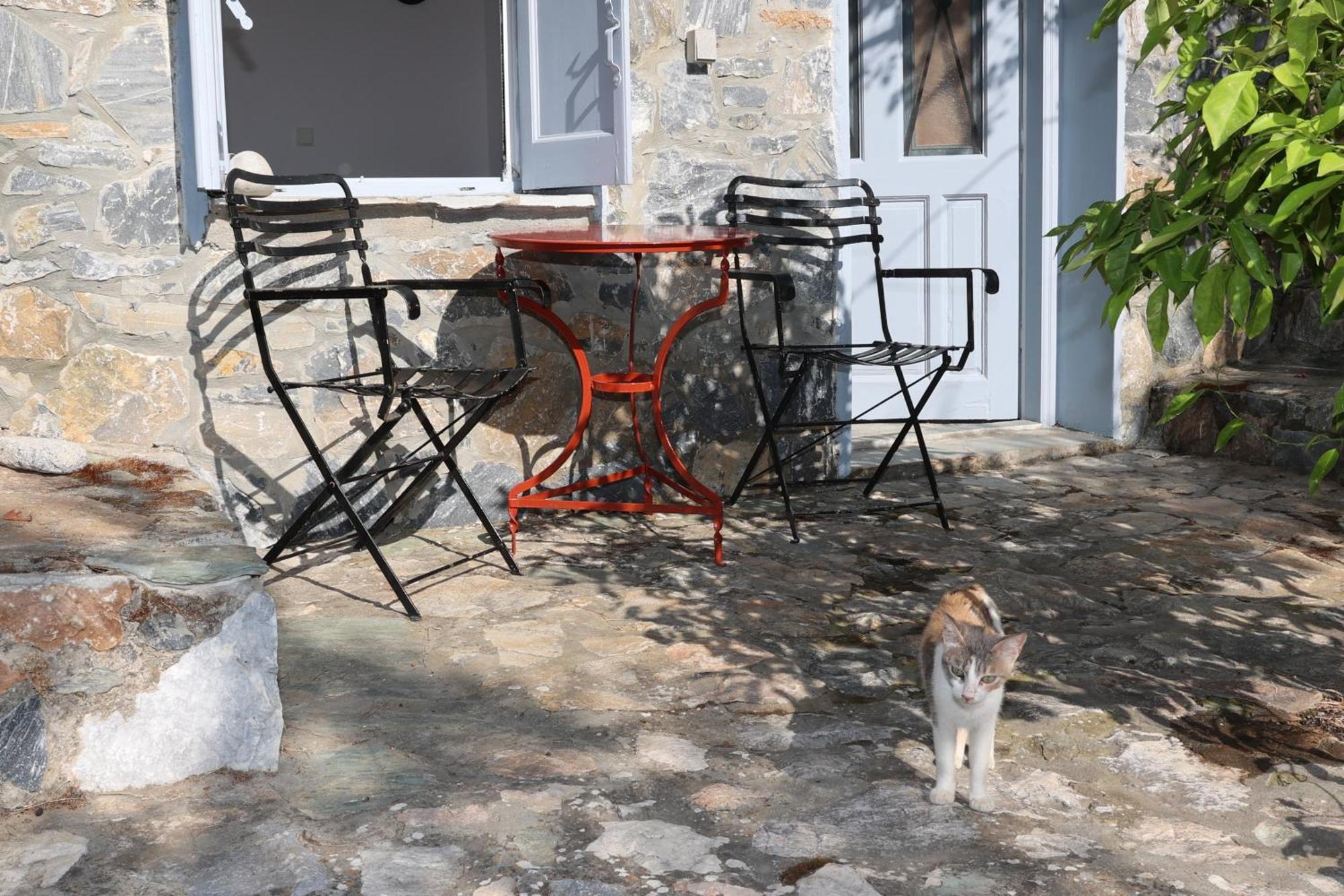Δωμάτια Κόκκινος Πύργος Plomari Extérieur photo