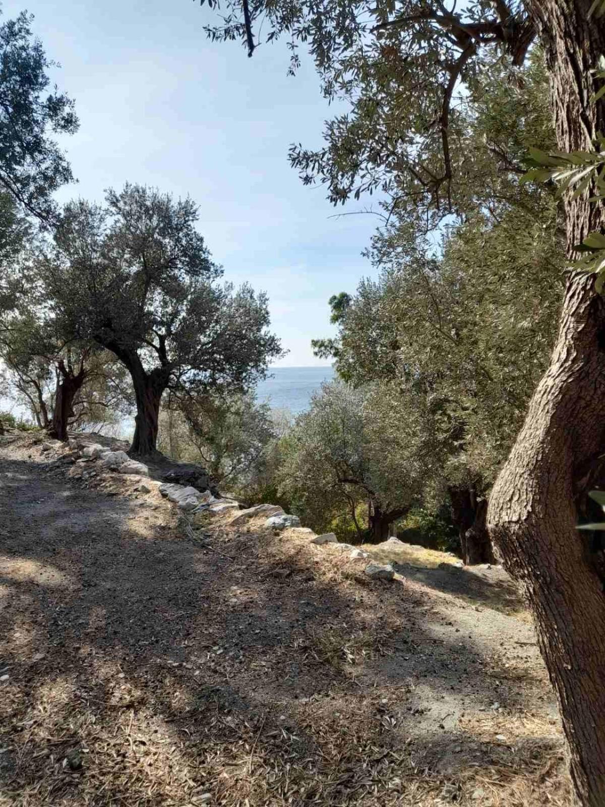 Δωμάτια Κόκκινος Πύργος Plomari Extérieur photo